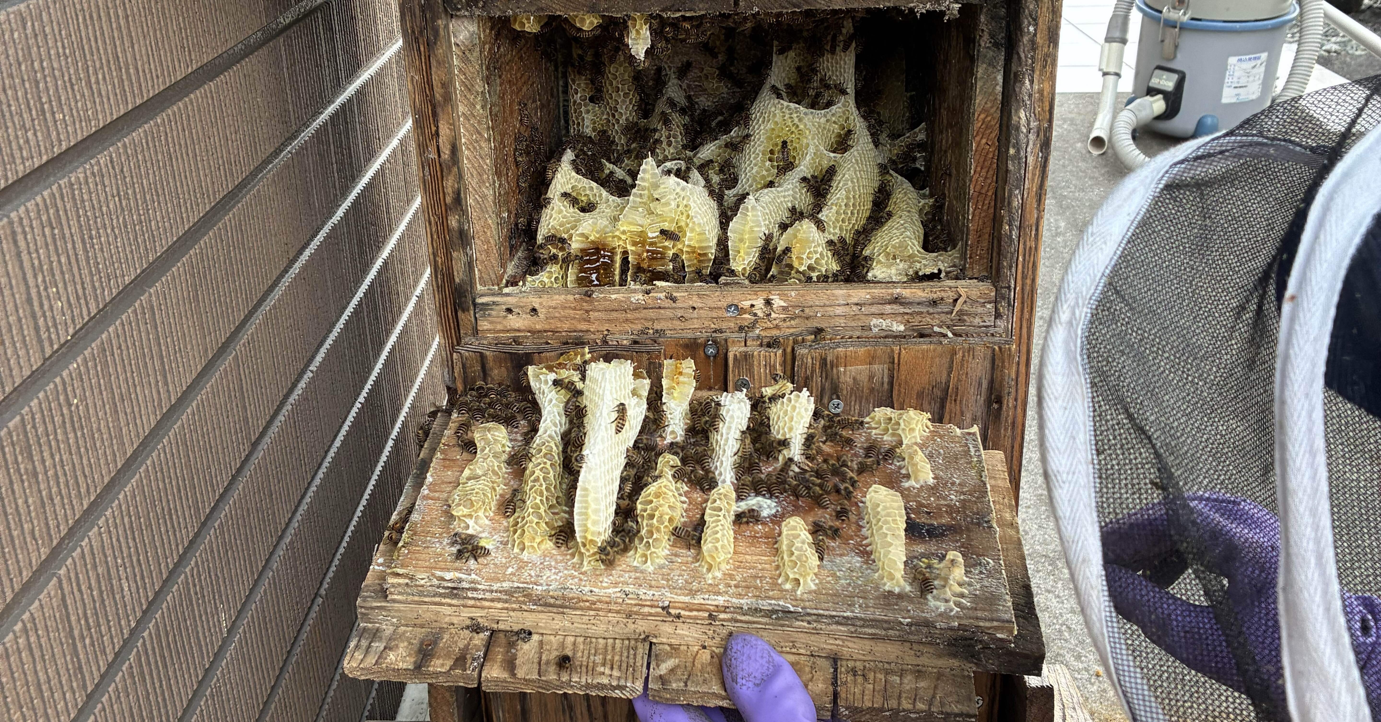 3a28b0dcde42577e5f1c5f249d02ec