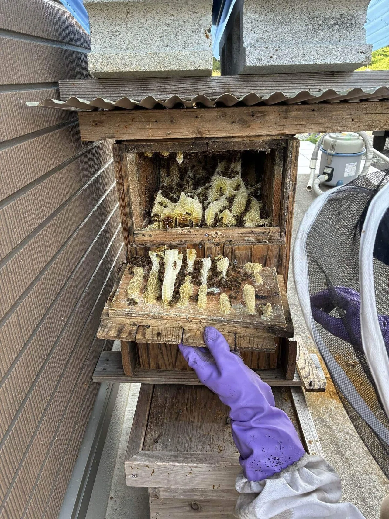 みつばち巣箱の掃除｜東北で田舎暮らし