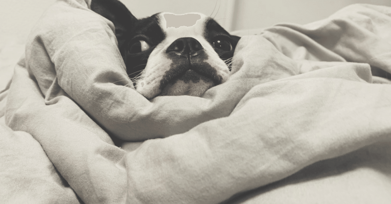 記録 デコログ 歯医者さん V3v Xxx Eh Note 記録 デコログ 歯医者さん V3v Xxx Eh Note