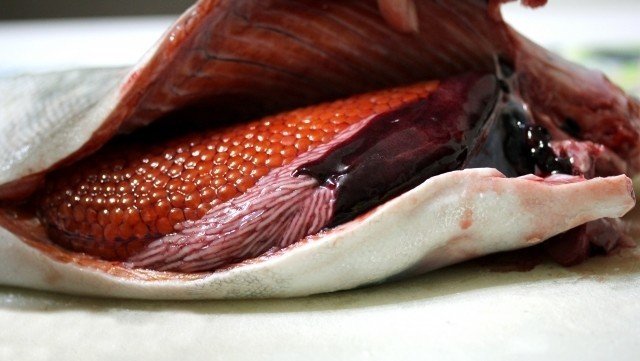 赤くておいしそうな鮭 サケ でもじつは白身魚だった オモシロなんでも雑学 公式 Note