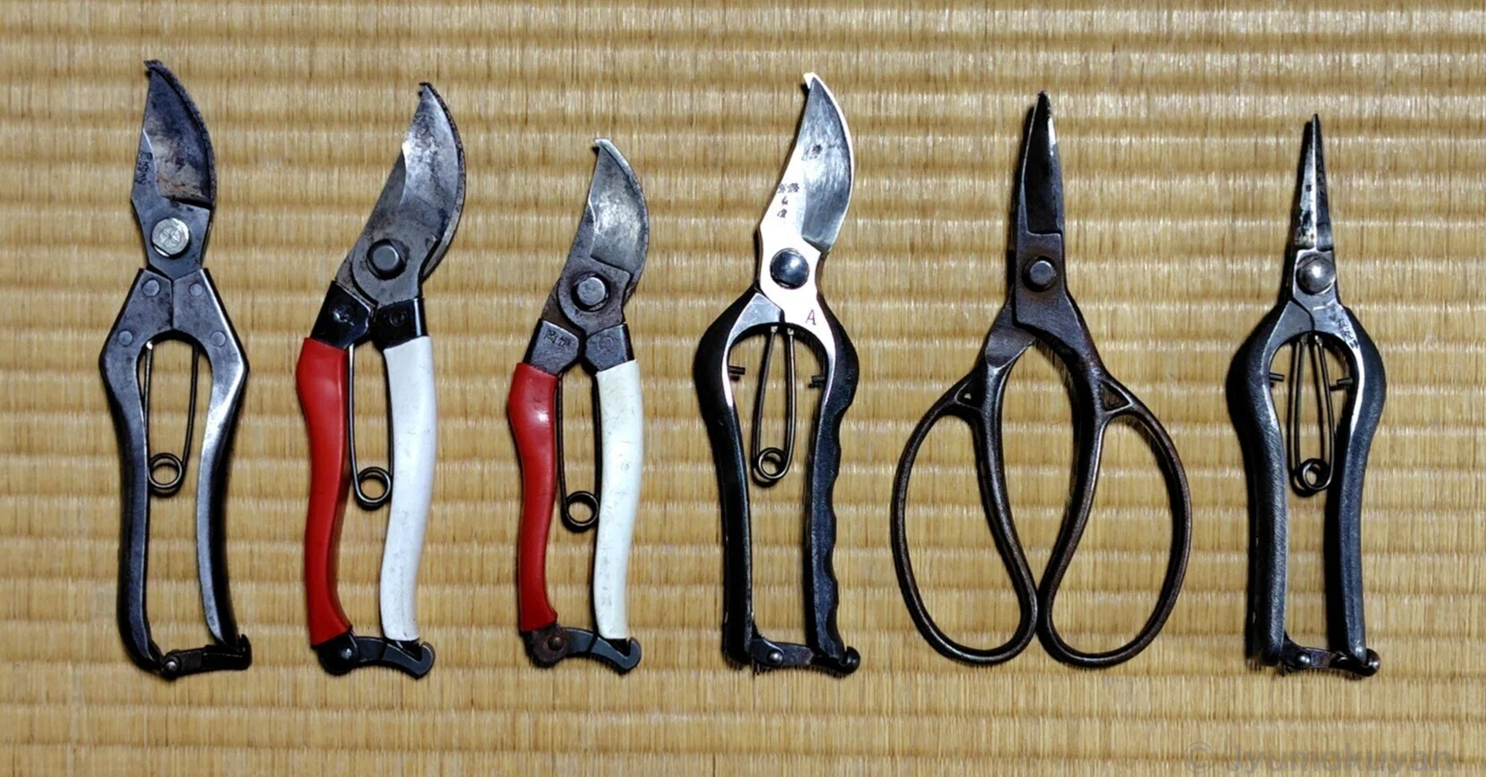 An Arborist's Favorite Tools: Pruning Shears Edition.｜じゅもく
