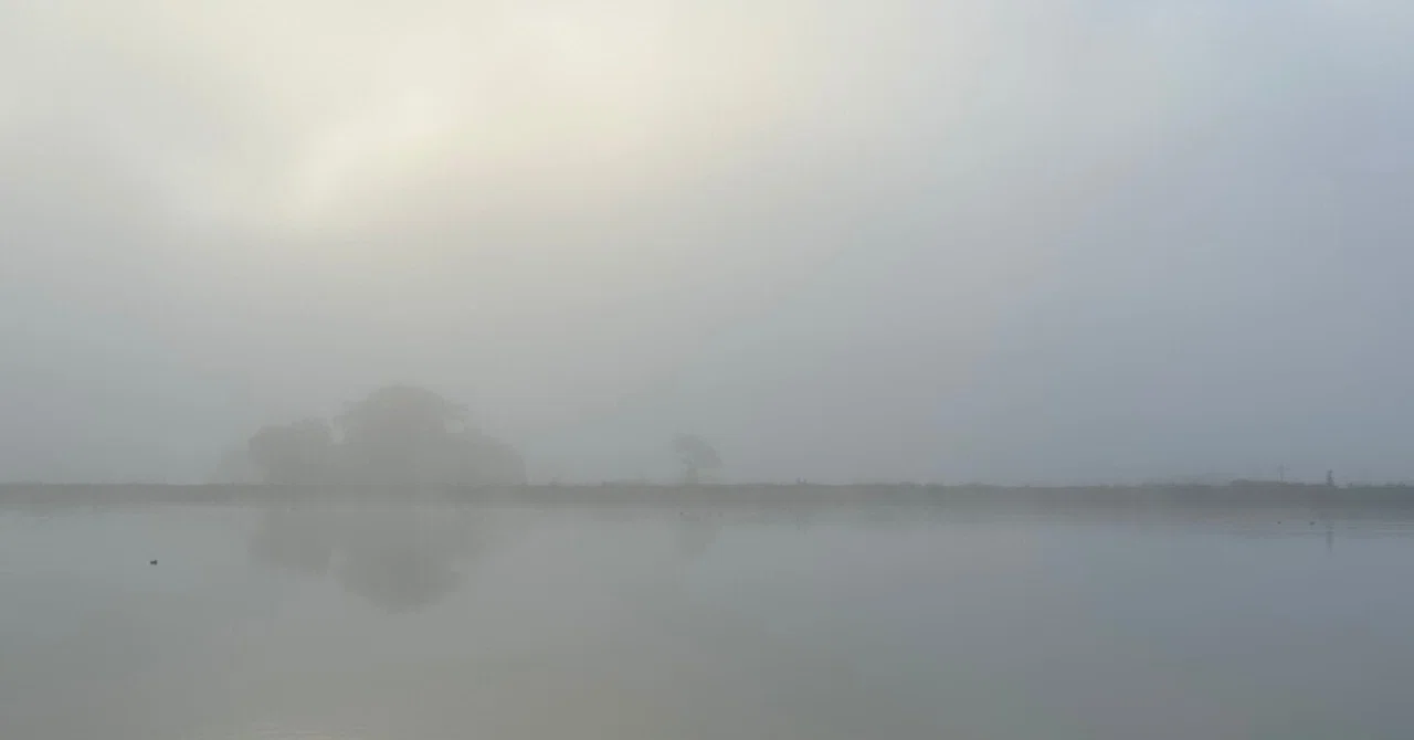 朝靄は風景を見え隠れさせながら|sanchi
