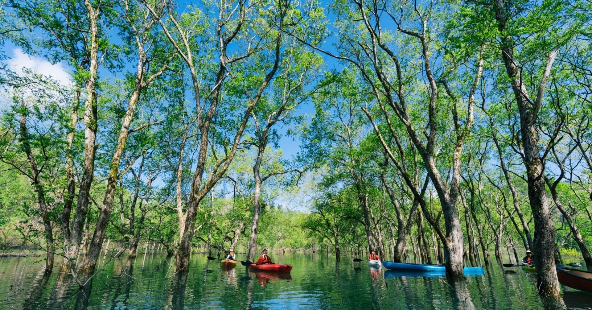 山形県白川湖、水没林カヌー2025｜横田 裕市/写真家×編集者