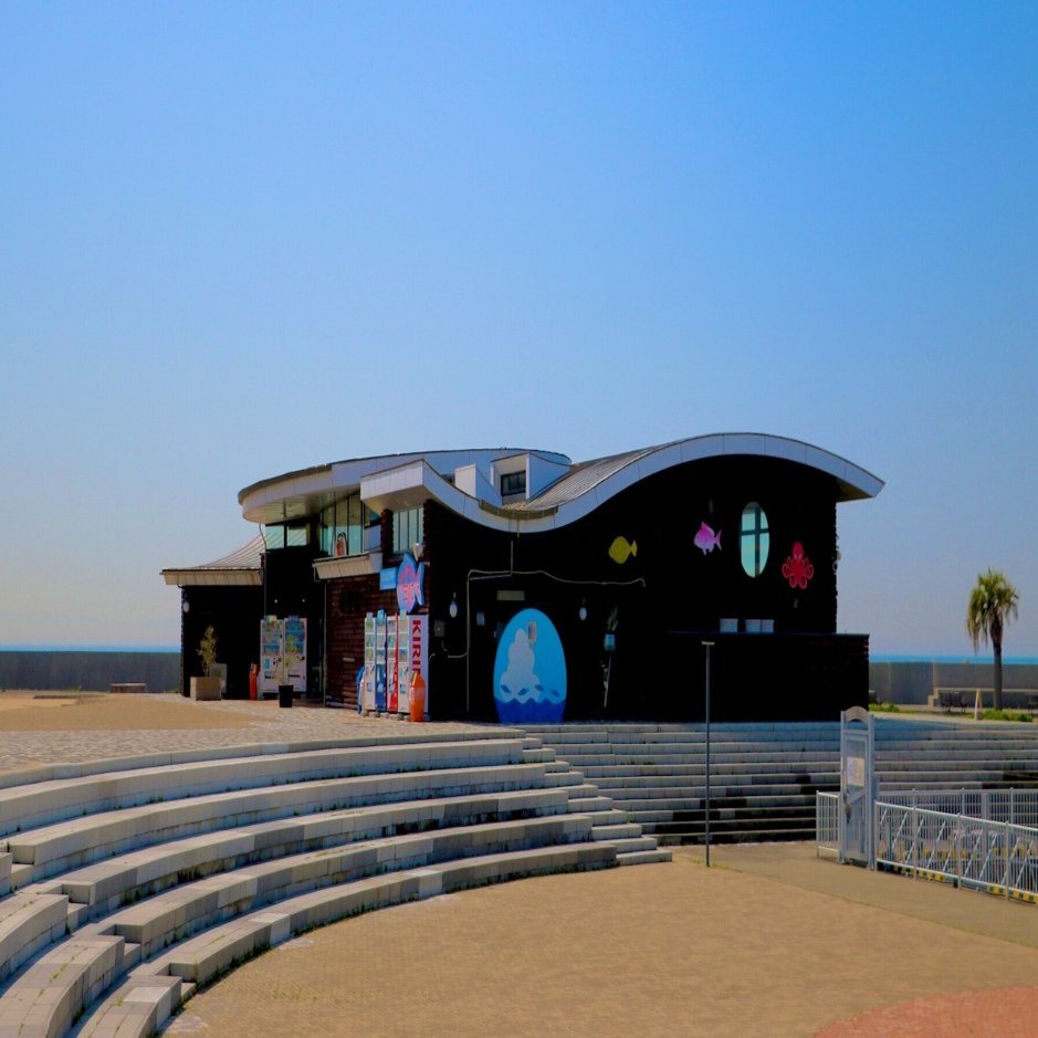 お取り扱い店舗のご紹介🐳神戸市立水産体験学習館「さかなの学校」さま