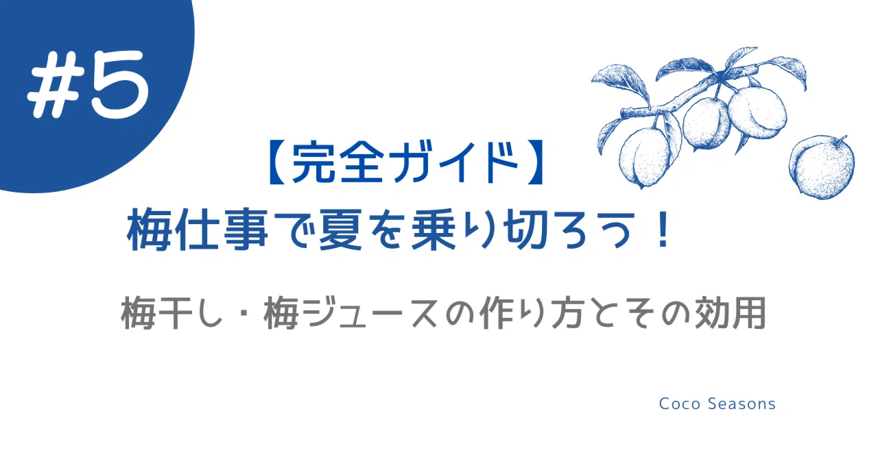 【完全ガイド】梅仕事で夏を乗り切ろう！梅干し・梅ジュースの作り方とその効用｜coco.seasons