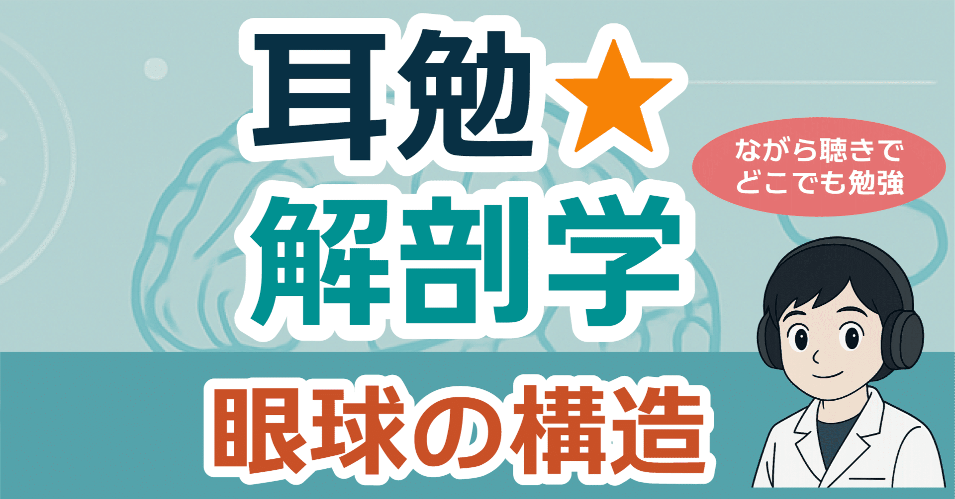 耳勉☆解剖学 眼球の構造｜かずひろ先生（黒澤一弘｜解剖×教育×AI）
