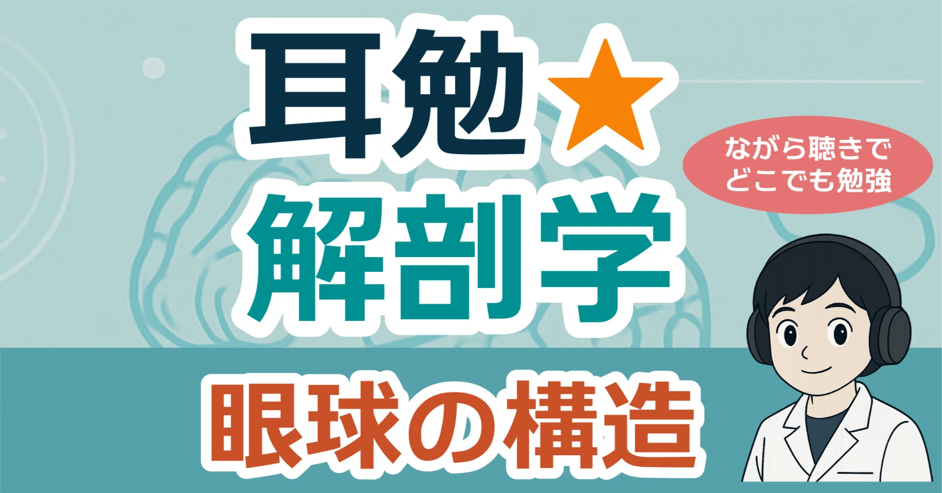 眼球解剖図 掛軸 昭和レトロ￼ 眼球の図解イラスト(線画) イラスト素材 [7146651] - フォトライブラリー