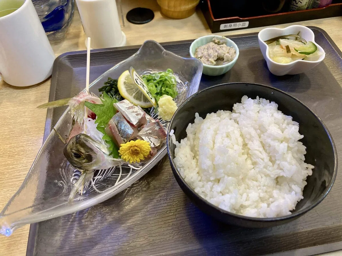 [Avoiding the 4 Toxins] Dining during a trip in Numazu｜ともいるか