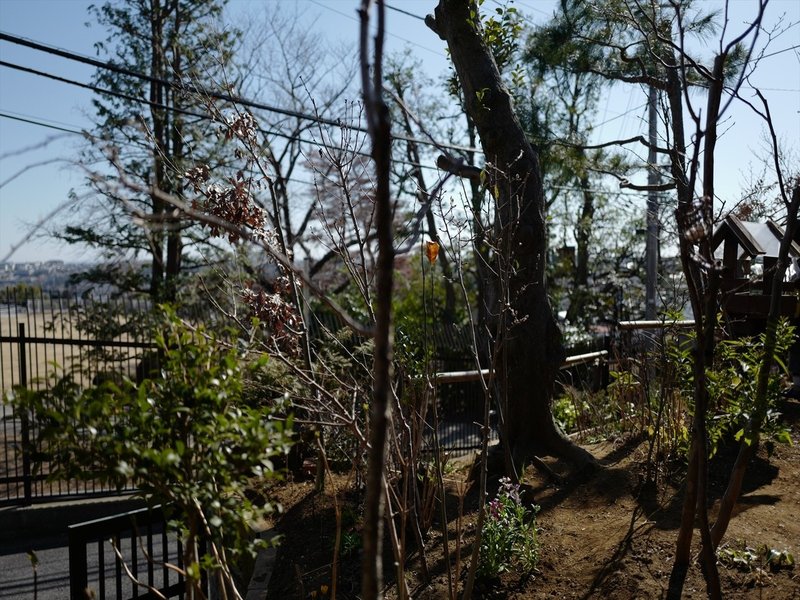 山の上の家 へ 平穏 Note 山の上の家 へ 平穏 Note