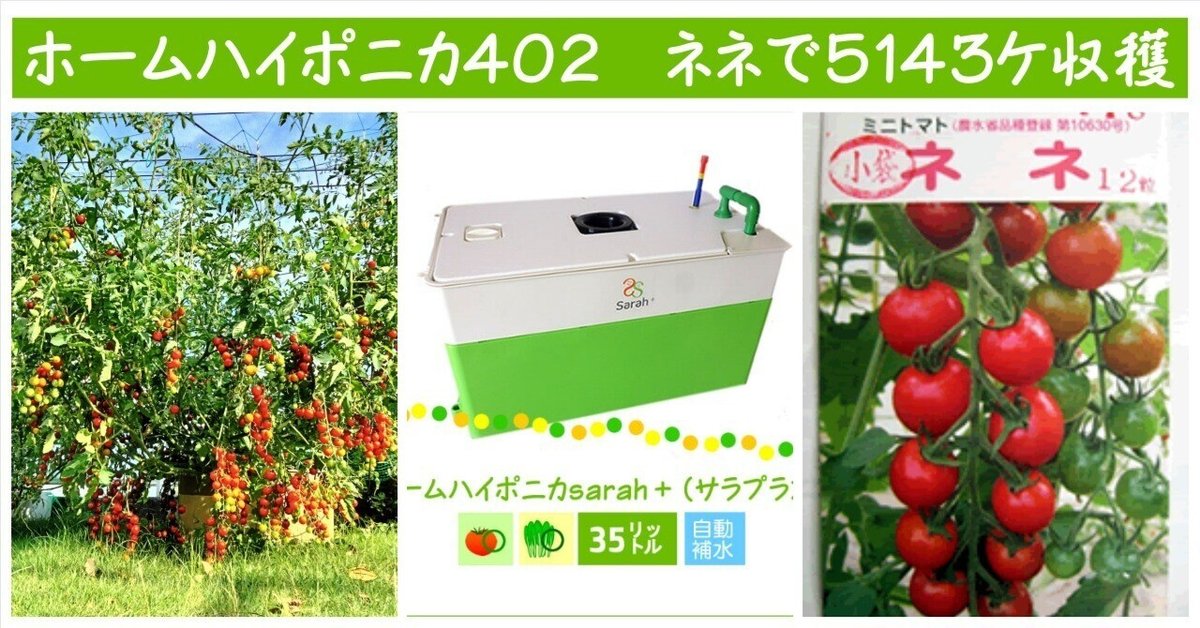 トマトが一株に一万二千個なる—ハイポニカ農法の秘密(1983年) トマトが一株に一万二千個なる―ハイポニカ農法の秘密 (1983年