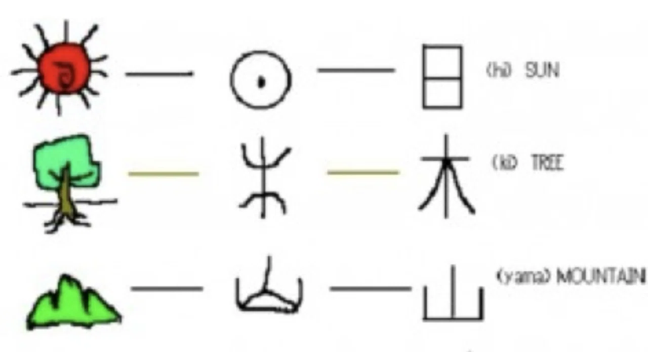 活動歴および当時の関連ビジュアル記録