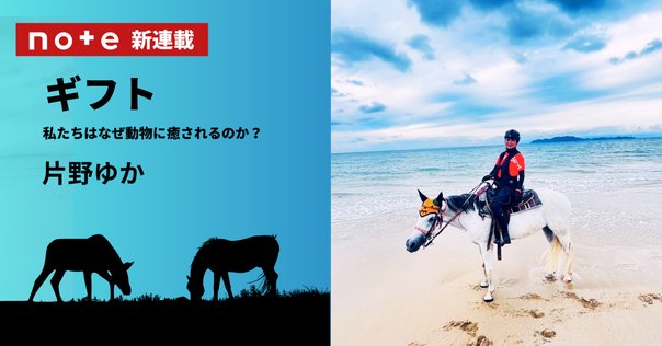 アニマルセラピー：心に寄り添う、動物たちの奇跡の物語｜√11