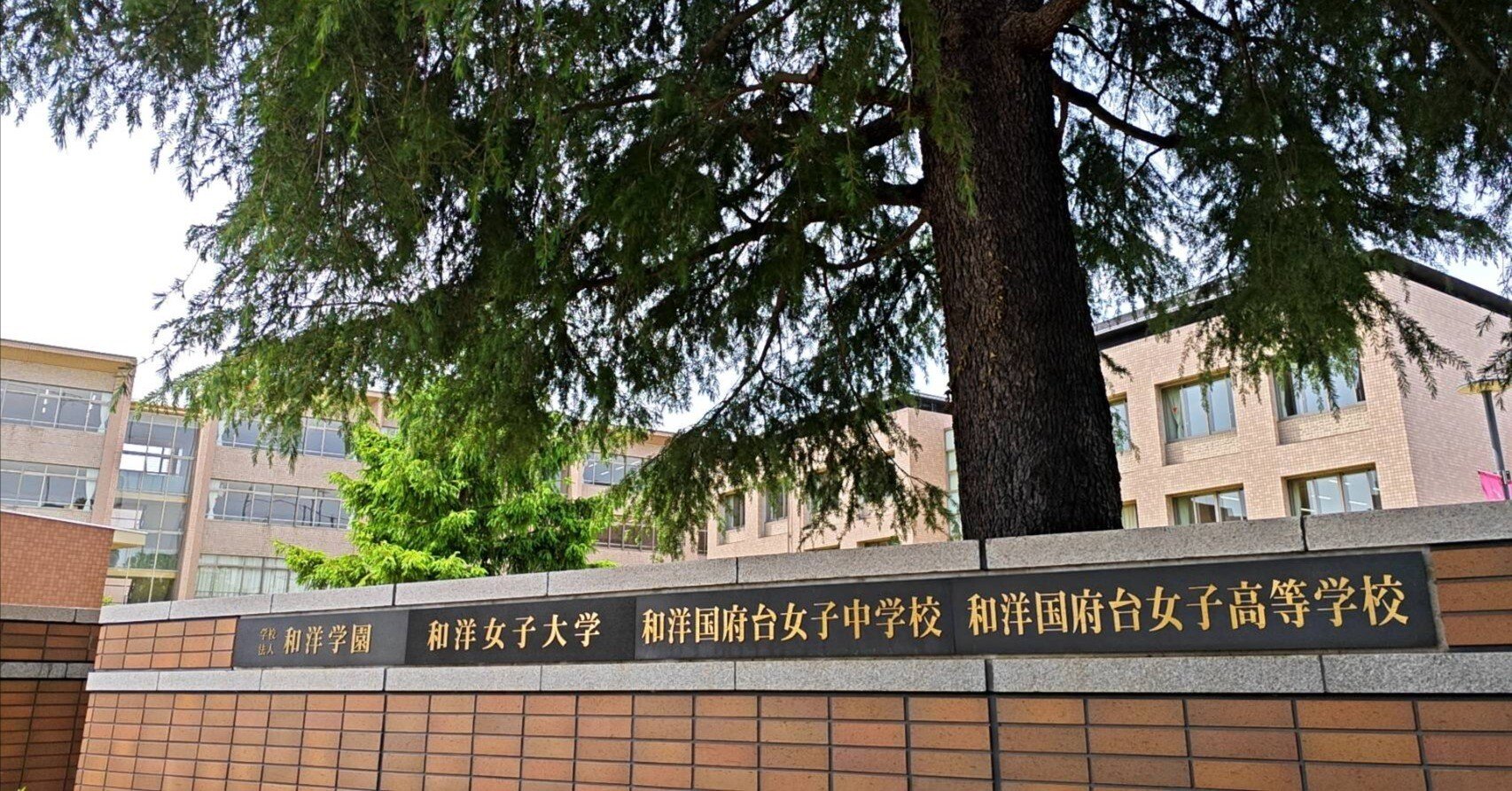 和洋国府台女子中学校 中学受験問題集 Amazon.co.jp: 和洋国府台女子中学校 2024年度用 5年間スーパー