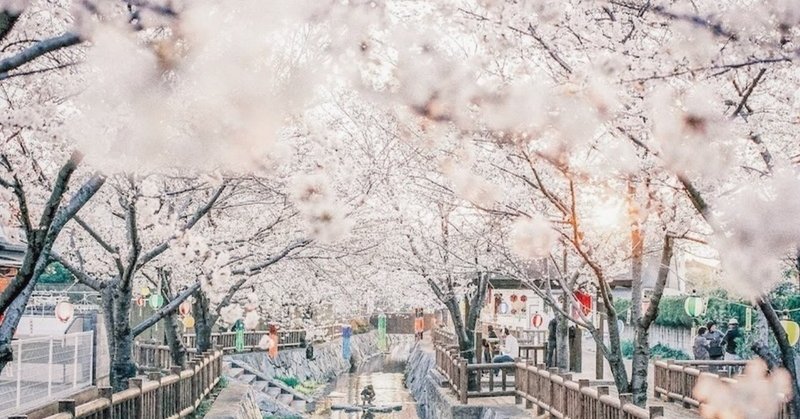 桜美林 の新着タグ記事一覧 Note つくる つながる とどける