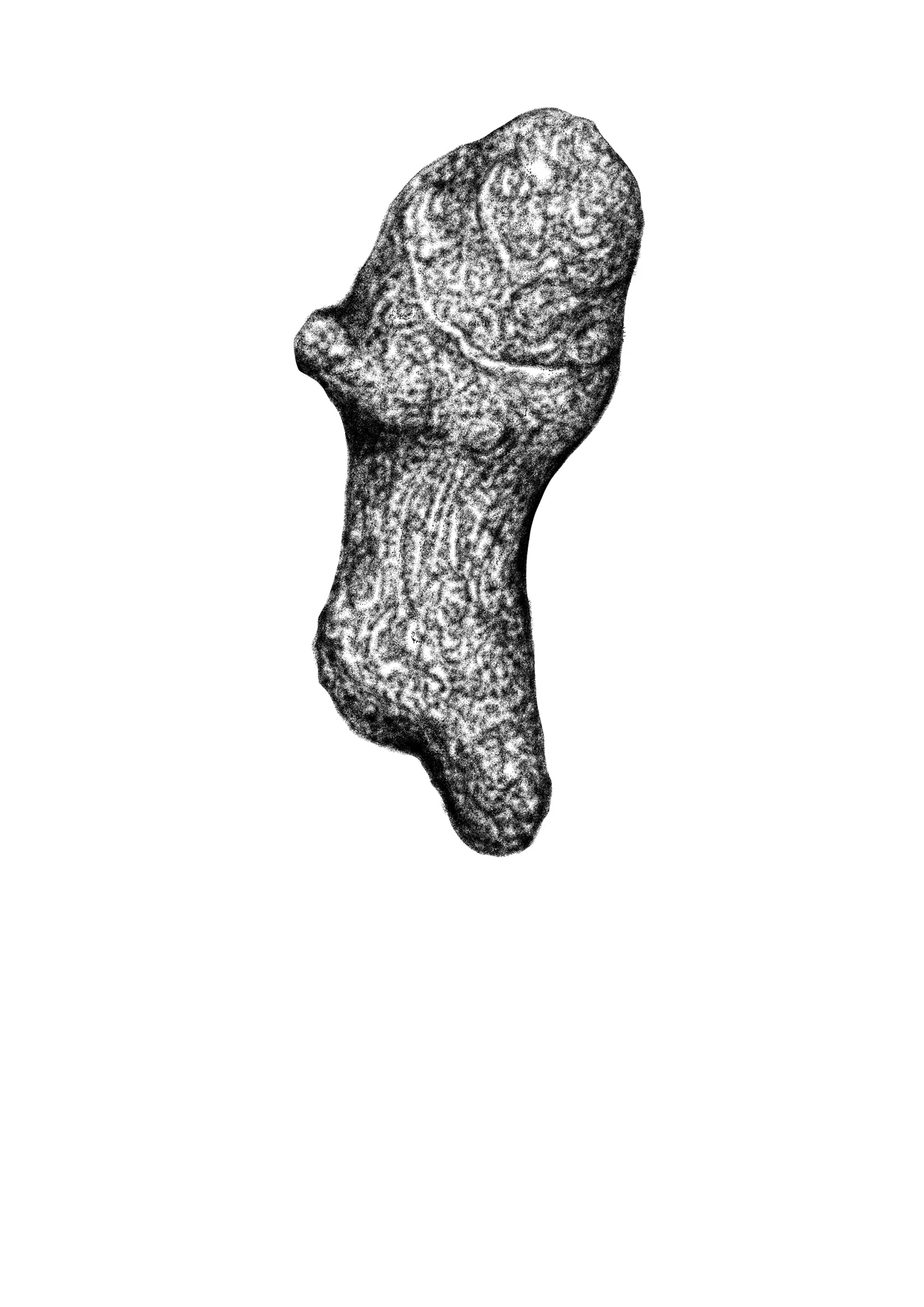点描画｜S (Varelser)
