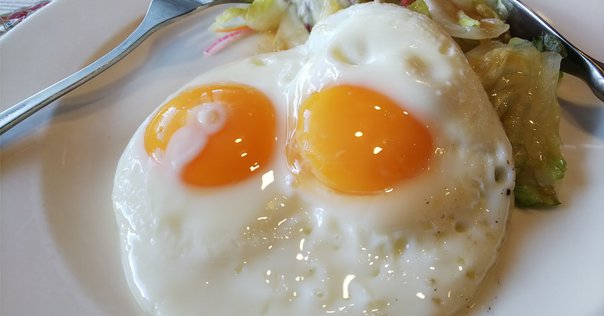今日も僕は、めだまやき｜ゐするぎ(パンダキネマ)