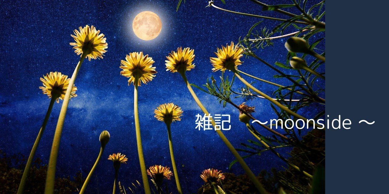 雑記 ～moonside🌙｜Ayaka(あーりん) | 言葉のブーケニスト💐｜note