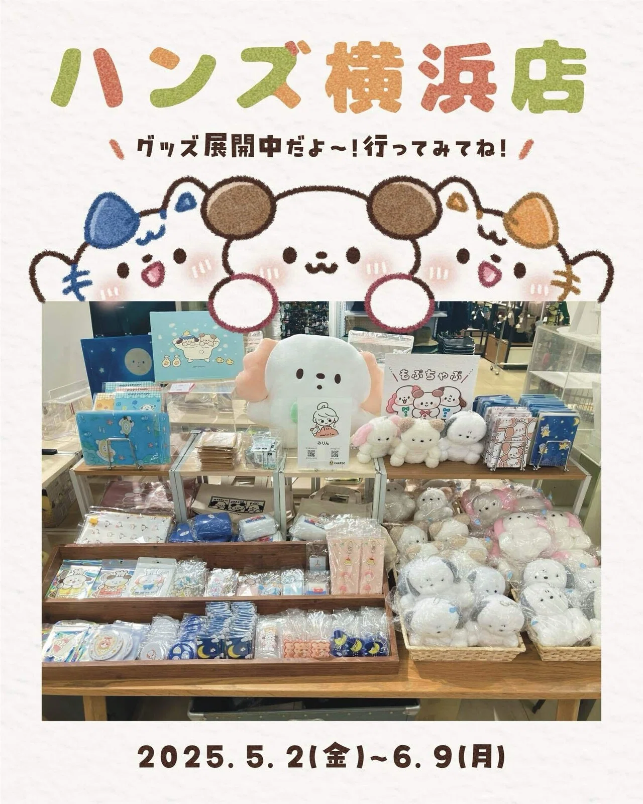 にゃこにゃご誕生日🐱🐱！この子達が生まれた秘密。｜みりん🙈🌷