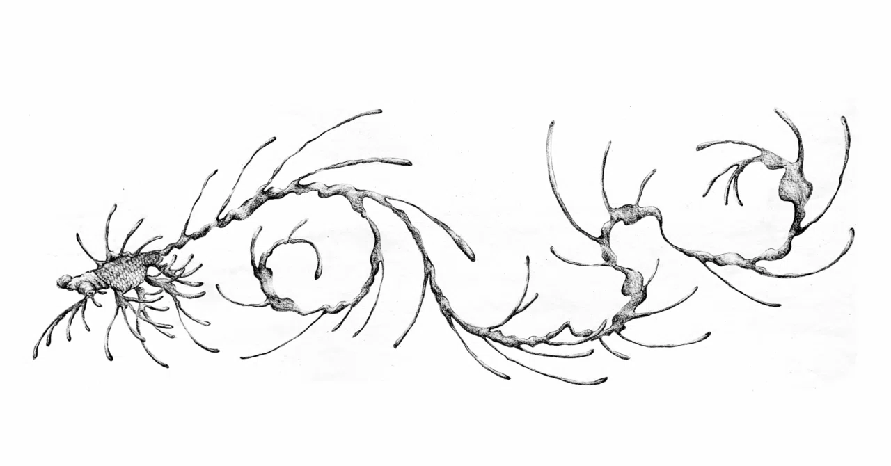 金魚の絵 振り返りと分析①｜千尋