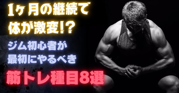 肉体改造のピラミッド 2冊セット 筋トレ スポーツ 肉体改造のピラミッドトレーニング編 発売！ - AthleteBody.jp