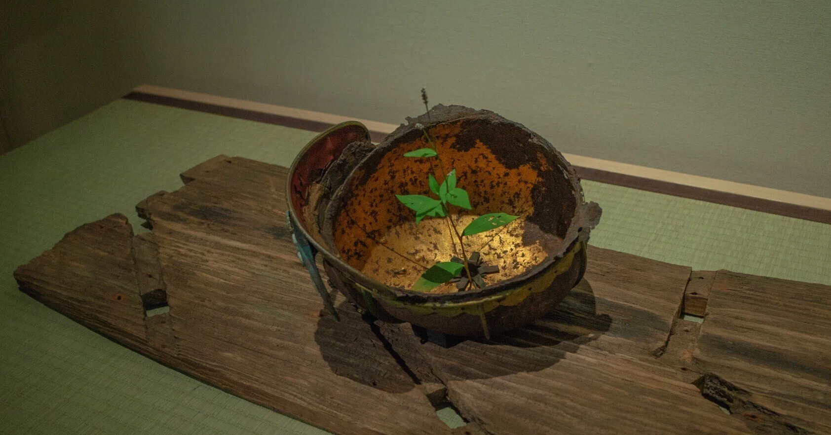 杉本博司 趣味と芸術 − 味占郷／今昔三部作」展 千葉市美術館 2015年 
