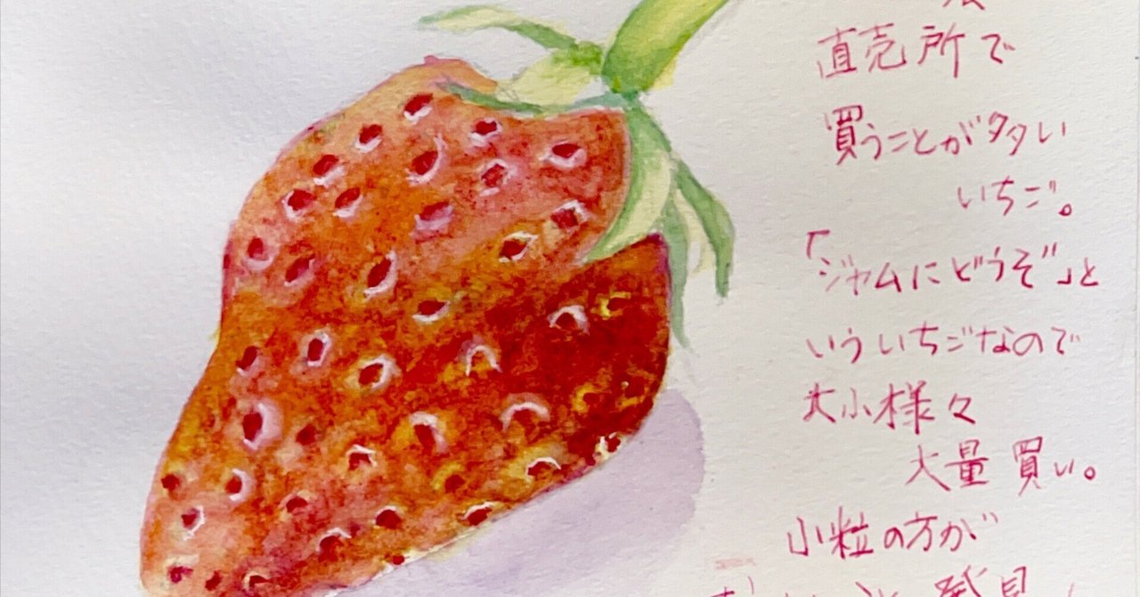 いちご 【小野崎農園】 とちあいか 大玉 Aサイズ 280g 8～12粒