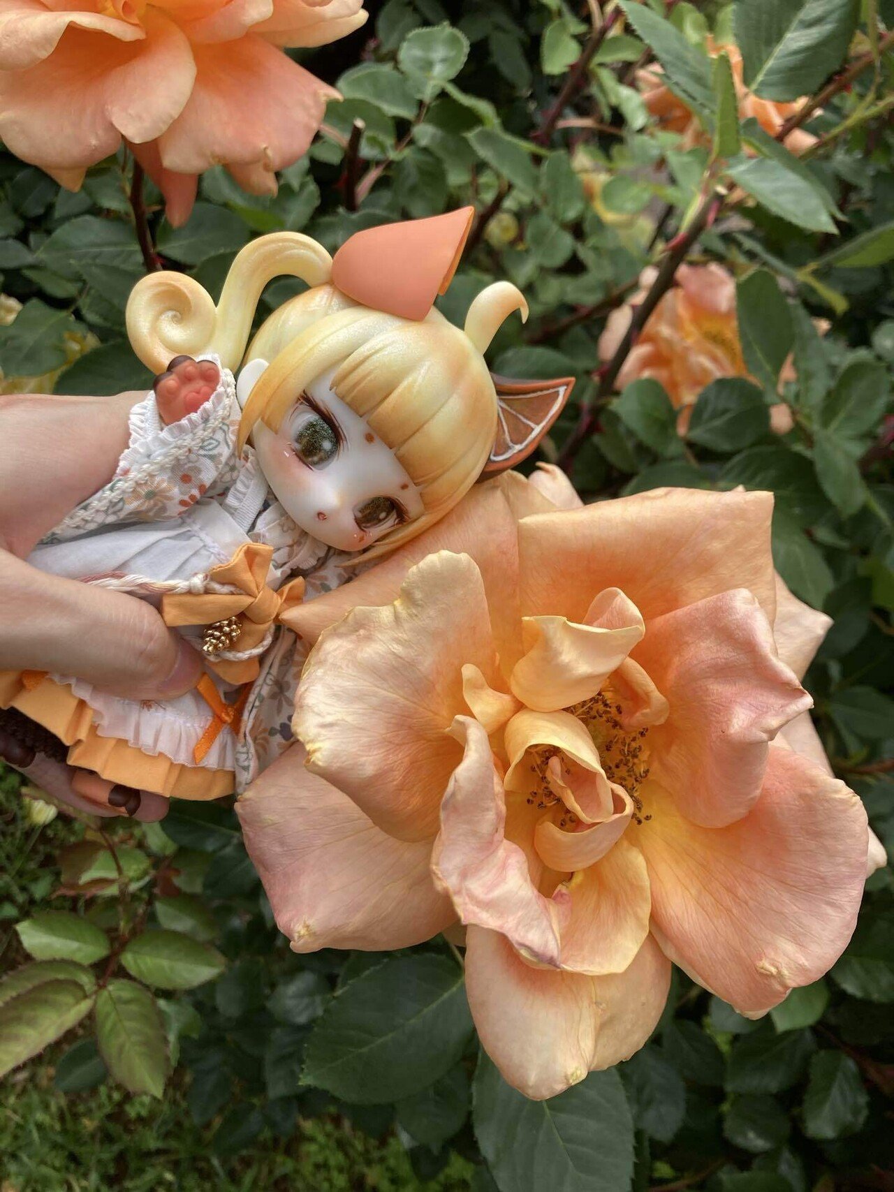 バラ園に行ったよ｜Shiiko