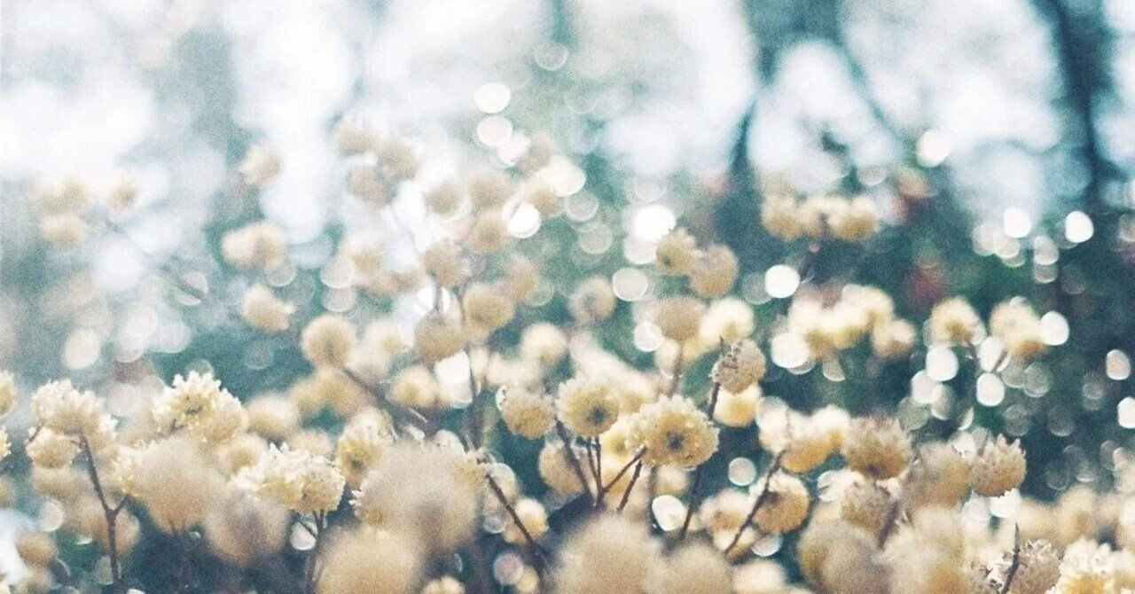 お昼寝の時間映画とドラマ、日々の楽しみjournee