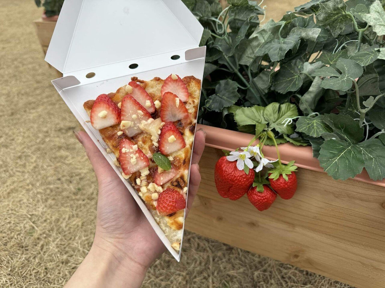 とちぎが贈る、極上ベリー体験②〜栃木×ピザーラ｜フォーシーズ公式