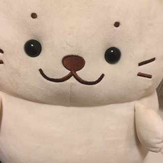 デリカシーのない男 あざらし Note