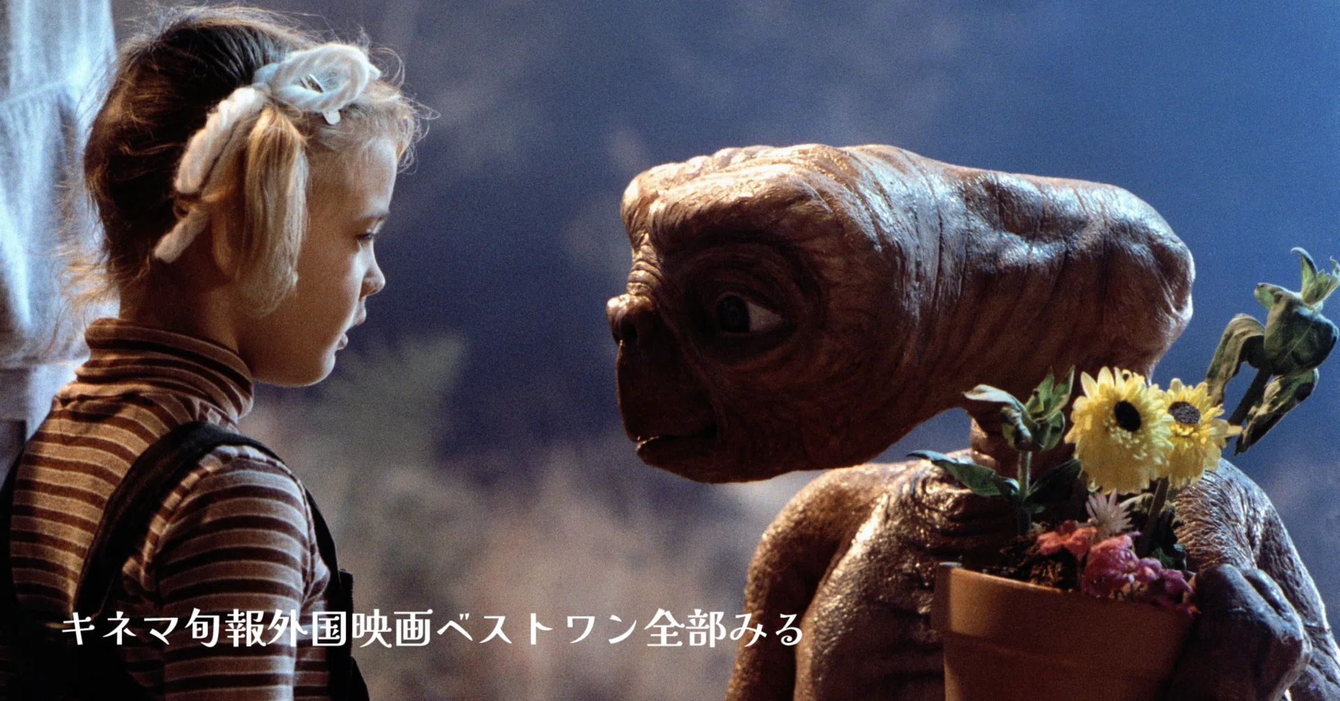 貴重品？映画ETのスカル 【公式通販】