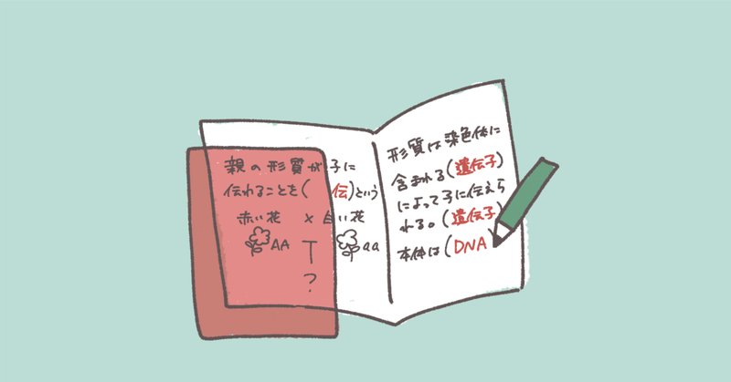 日能研 3年テスト一式
