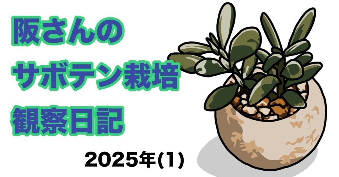 第一回｜サボテン栽培観察日記｜2025（1）｜阪 美黎