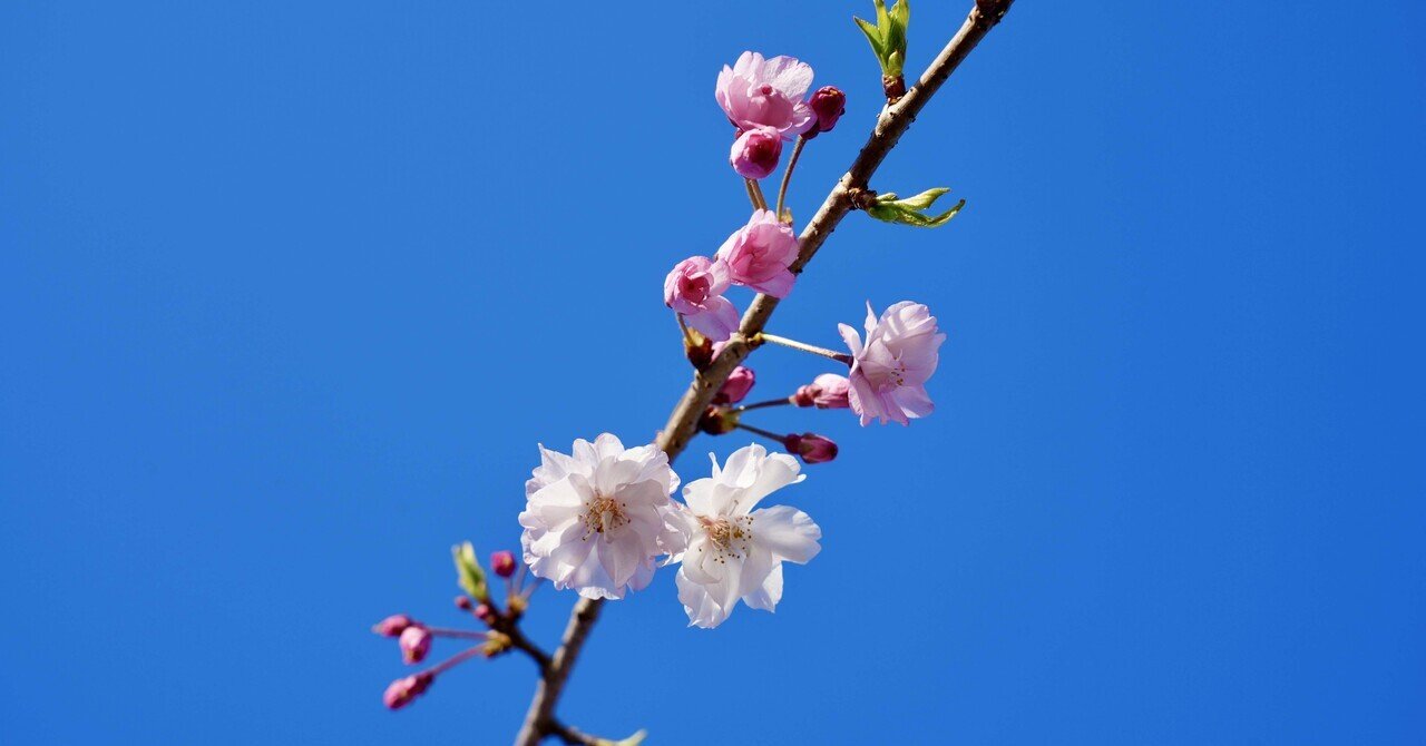 【月9万円の住宅ローン、始まりました。】35歳で家を買ったパパのローン返済ストーリー