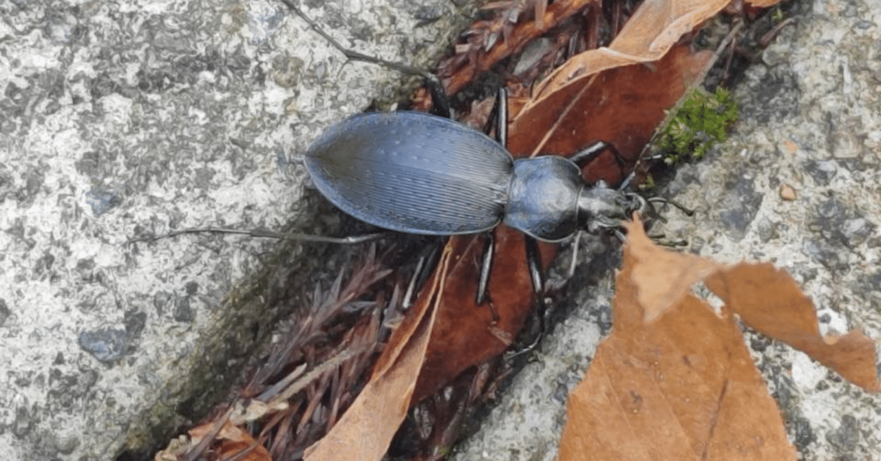 工場法は、わずか２５条で内容も簡単な法理だが、法案の検討開始から３０年、書き直し百数十回、更迭大臣２３人局長１５人の末ようやく成立した｜ハベレオ通信