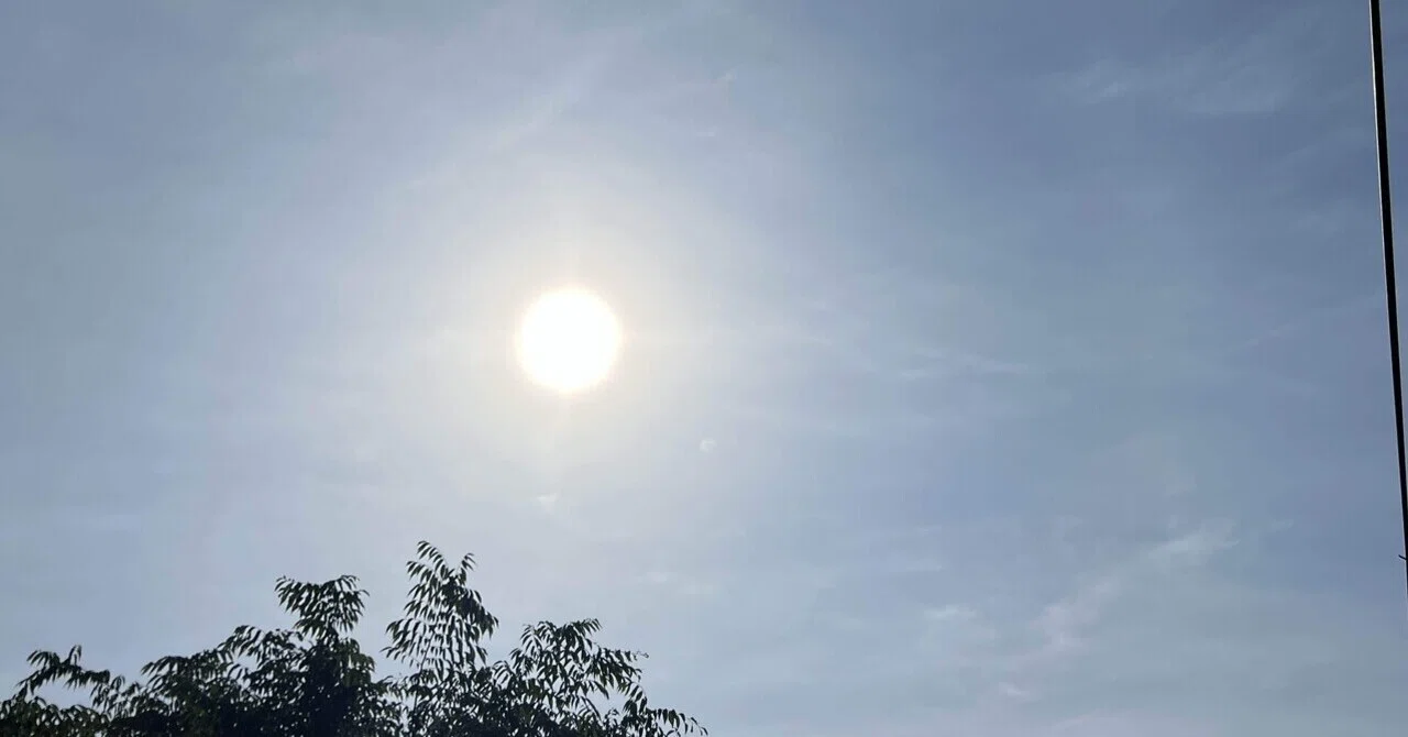 メンタル弱いやつは太陽を見ろ。骨が弱いやつは服を脱げ。肌を焼きたくないなら日焼け止めとサングラスを忘れるな。【光の処方箋】「ビタミンD・日焼け ...