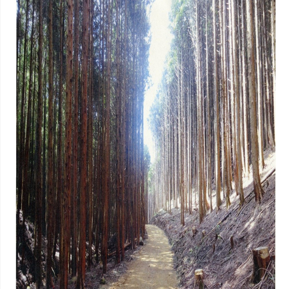 Amazon | 小崎侃 「分け入っても青い山」 種田山頭火 絵画 俳句