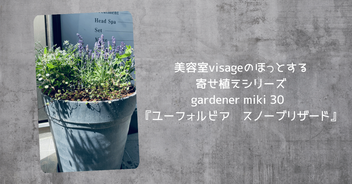 送料無料 通販 激安 美容室visageのほっとする寄せ植えシリーズgardener miki 30 版画