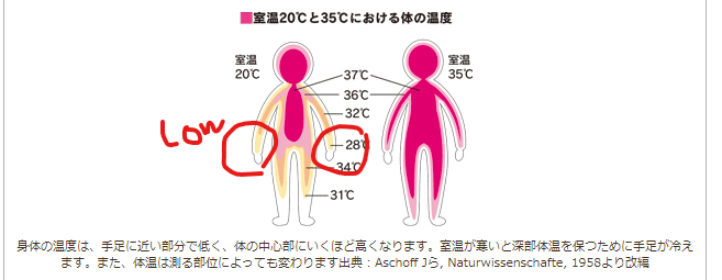 コメント 2020-02-11 234949