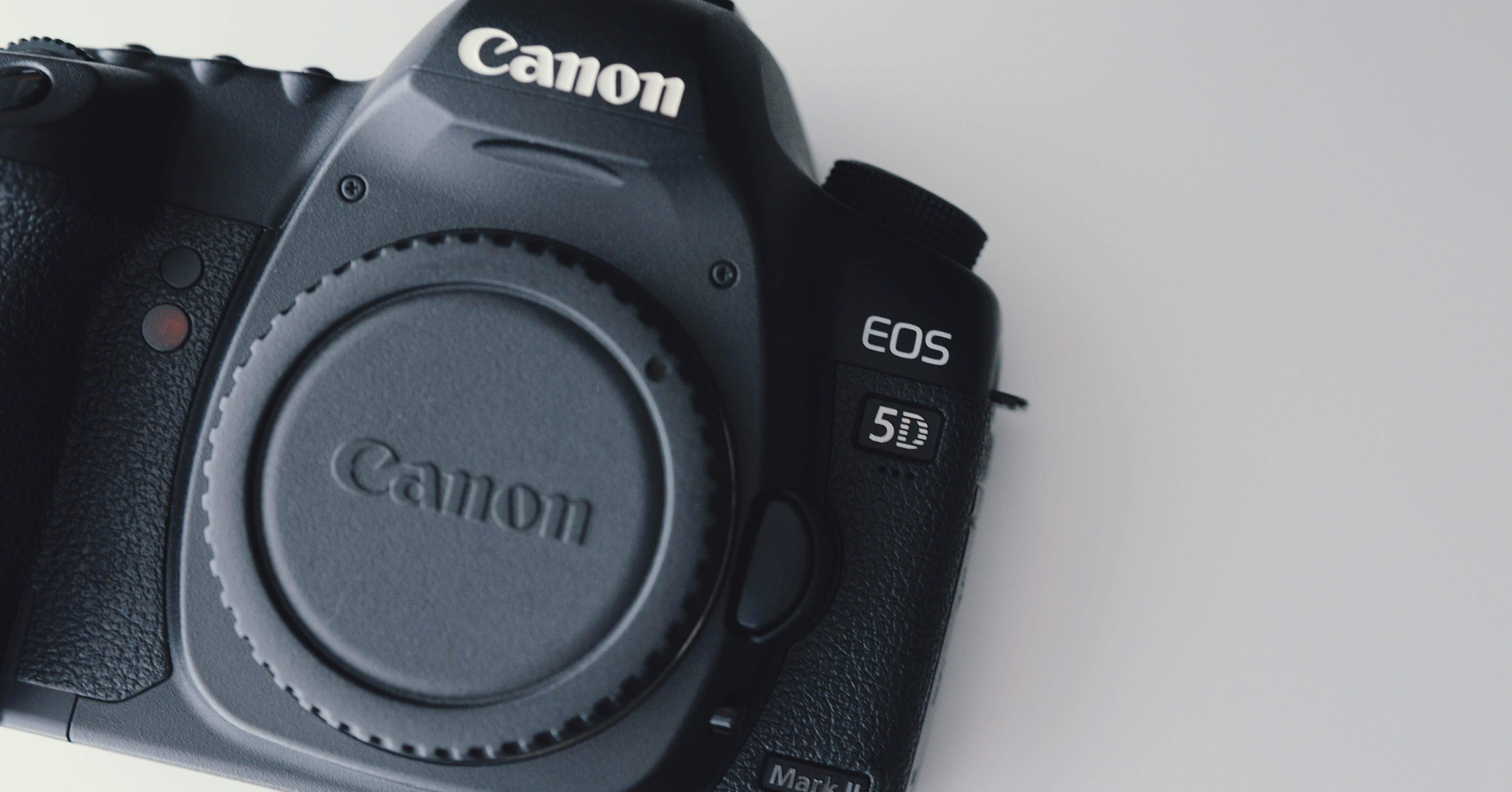 初めての一眼レフ機を購入【Canon EOS 5D markⅡ】：なぜ今このカメラ