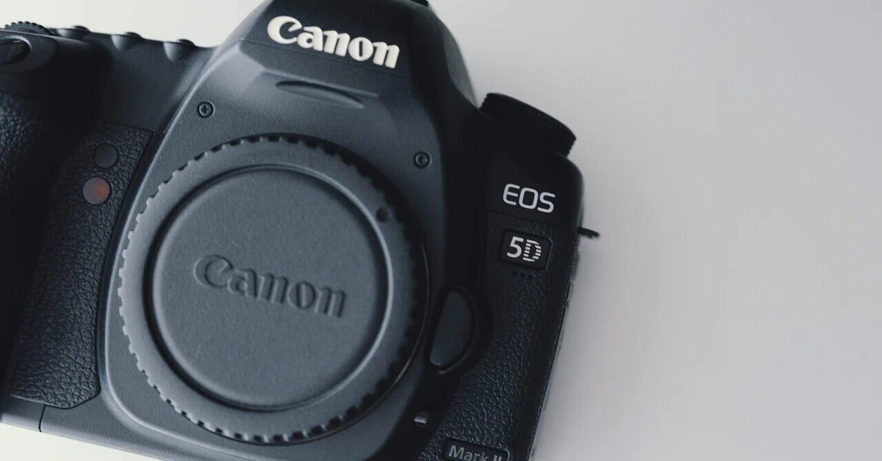 初めての一眼レフ機を購入【Canon EOS 5D markⅡ】：なぜ今このカメラ 