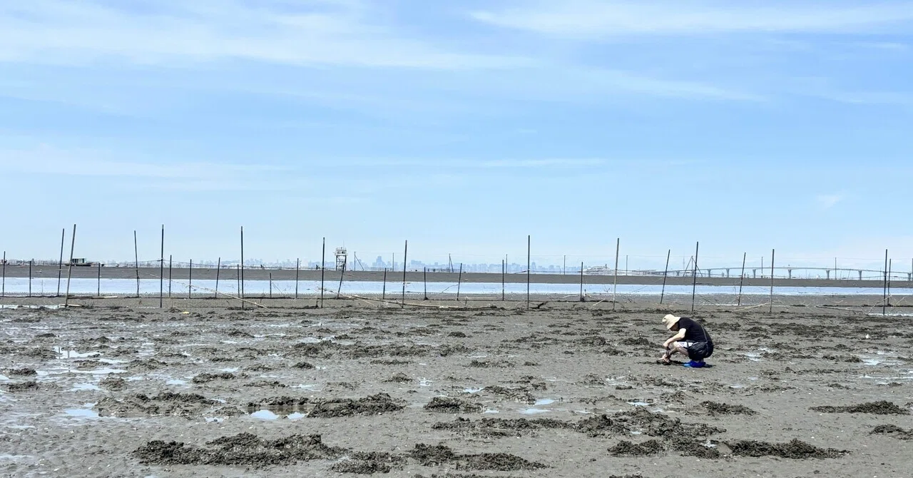 江川 海岸 潮干狩り