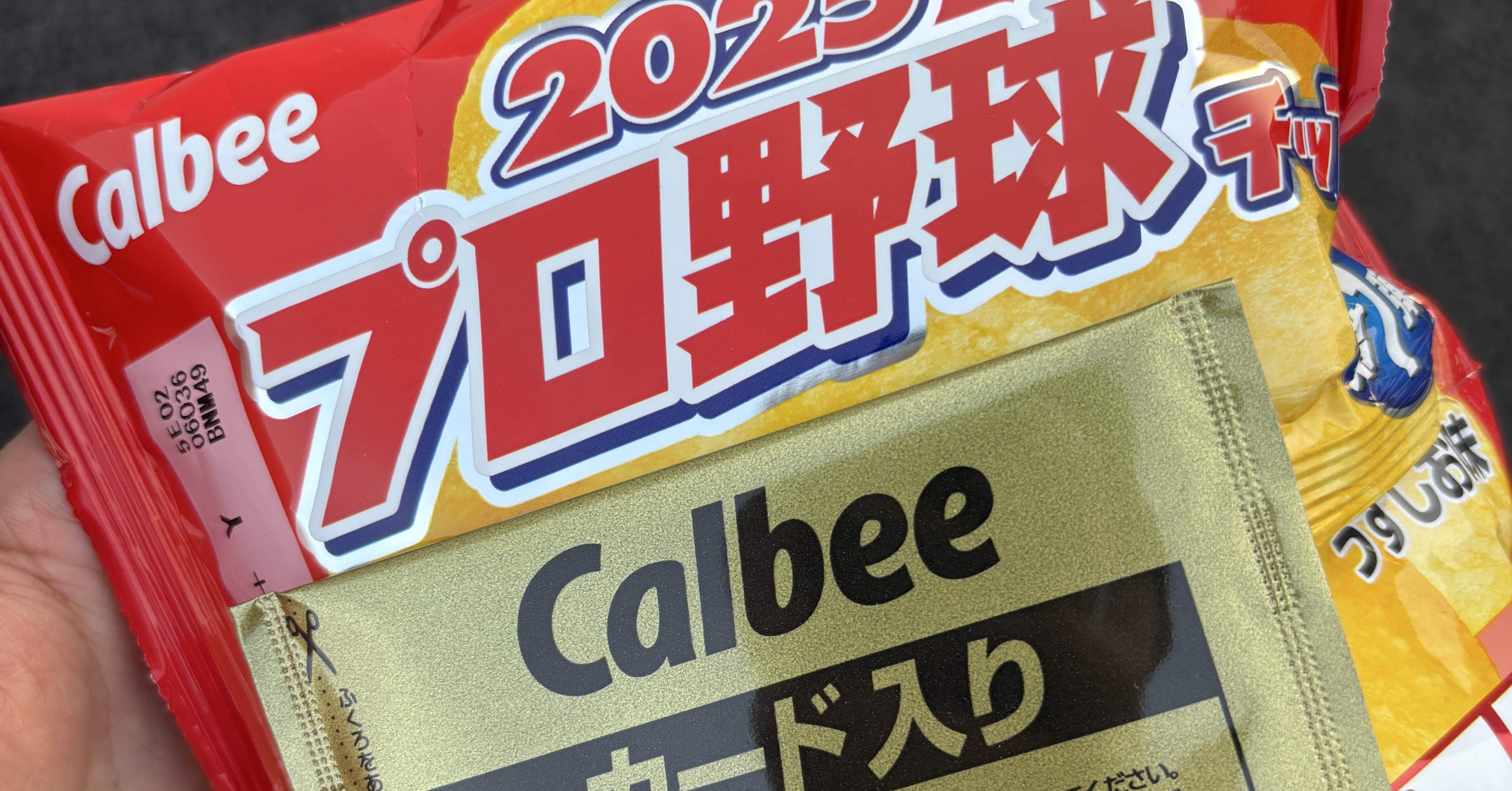 プロ野球チップスカードに全力を注いだ小学生の頃の話｜某テレビ