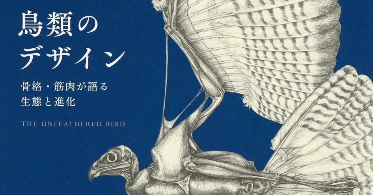 書籍『鳥類のデザイン 骨格・筋肉が語る 生態と進化』｜STARLET