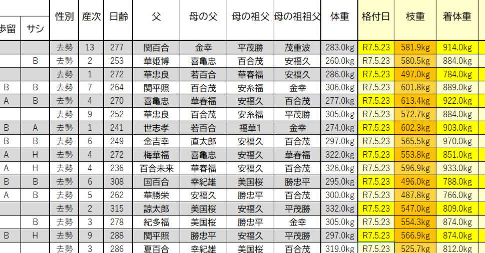 全国馬名簿 2016年生産 また出ました…。理想の子牛とは】2025.5.23出荷成績｜石原慎也