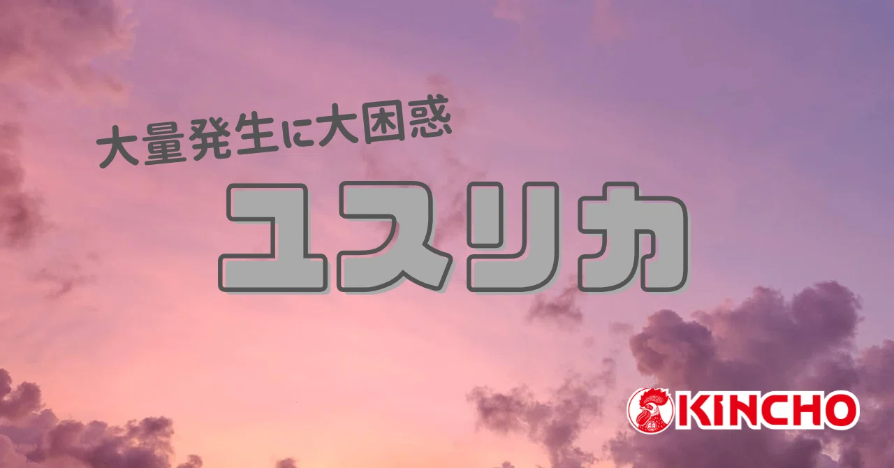 ユスリカ ～大量発生のひみつ｜KINCHO 大日本除虫菊株式会社