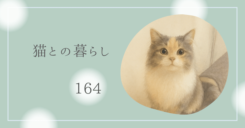 猫のいるしあわせ」の急上昇タグ記事一覧｜note ――つくる