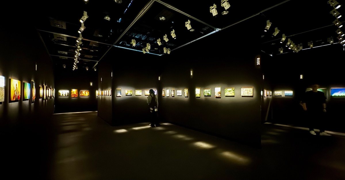 佐藤 健寿 写真作品 奇界遺産 森山大道 【公式通販】