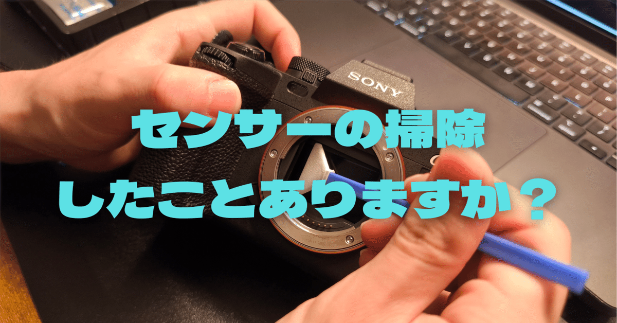 センサークリーニングしてみた | α7SIII｜じゅんぺー