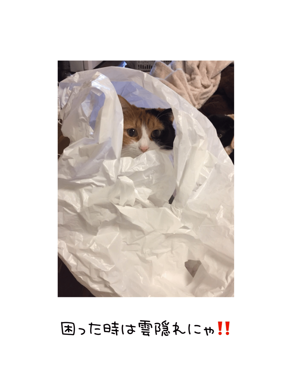 秘技雲隠れの術 るー Note